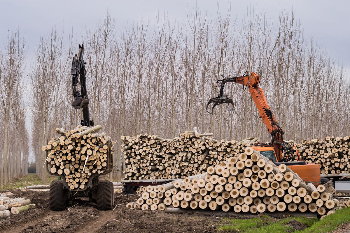 Metsatöömasinate kaskokindlustus - metsatraktorid palgihunnikute juures