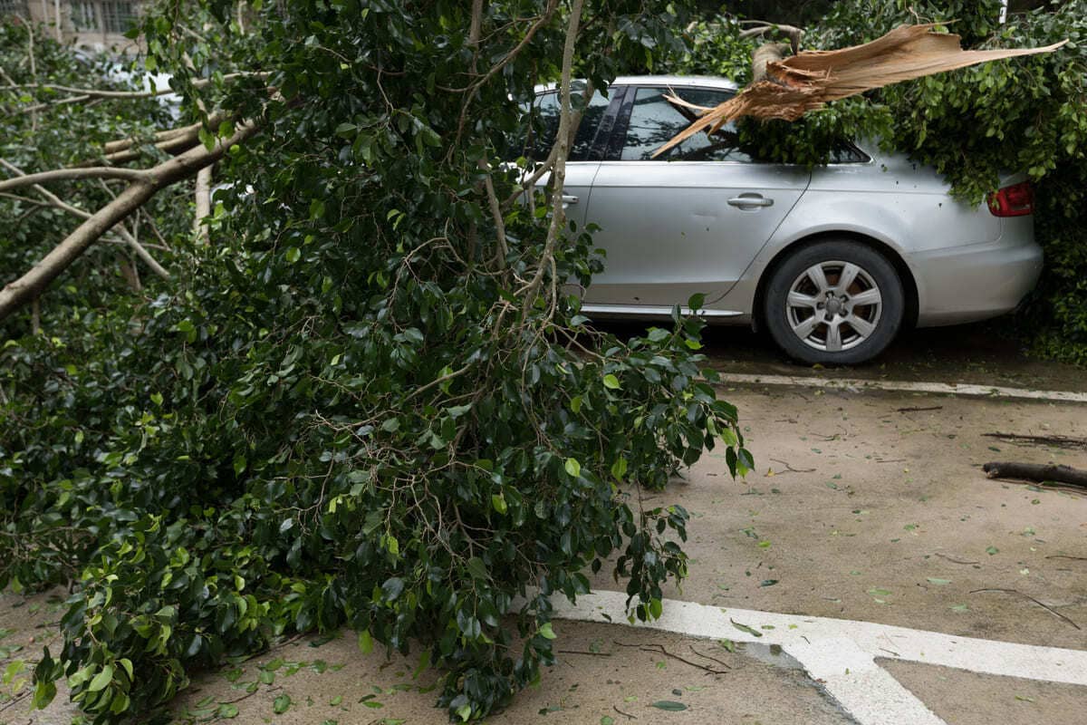 Kaskokindlustuse koguriskikindlustus - tormiga hallile autole murdunud puu